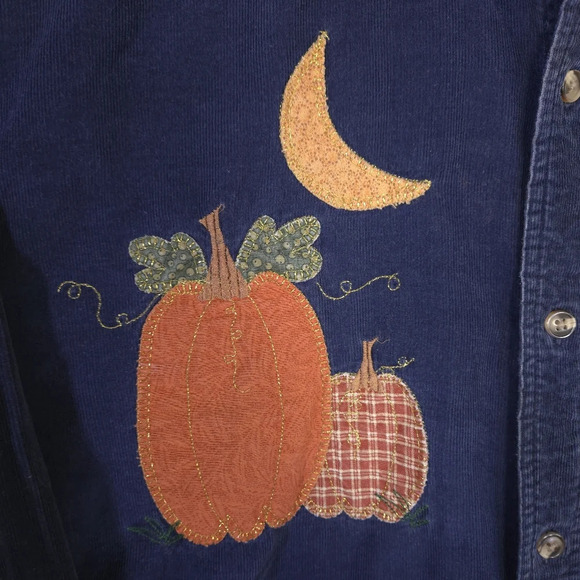 Basics Corduroy Button Down Fall Halloween Thanksgiving Womens Size Med Rustic - Picture 3 of 7